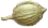 parsherbs-coriander-seed-slider-02
