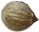 parsherbs-coriander-seed-slider-05