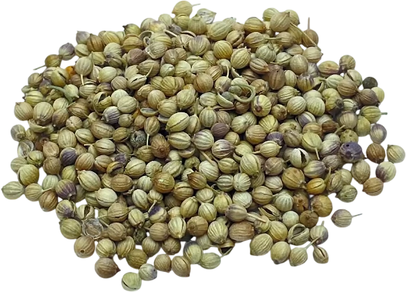 parsherbs-coriander-seed-slider