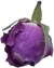 parsherbs-dried-damask-rose-bud-06-slider