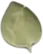 parsherbs-shirazi-thyme-01-slider