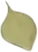 parsherbs-shirazi-thyme-02-slider