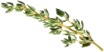 parsherbs-shirazi-thyme-top-slider