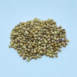 Coriander Seed (Coriandrum sativum)