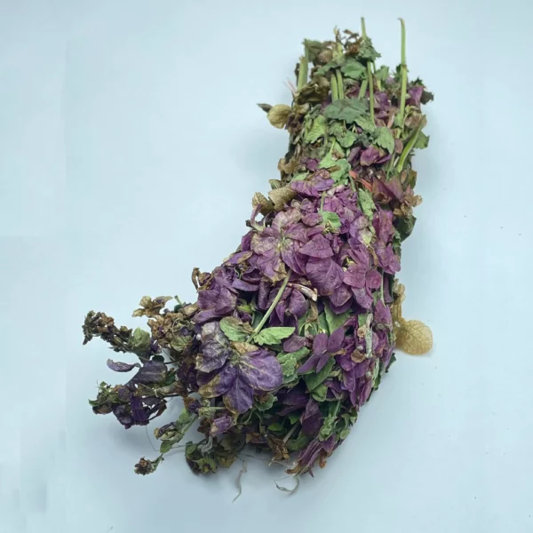 Lemon Balm - Image 1