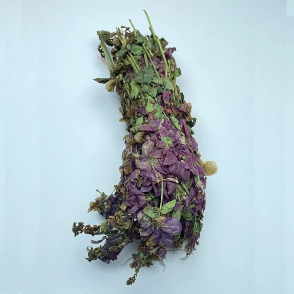 Lemon Balm - Image 2