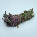 Lemon Balm - Image 5