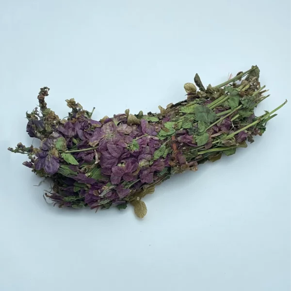 Lemon Balm - Image 5