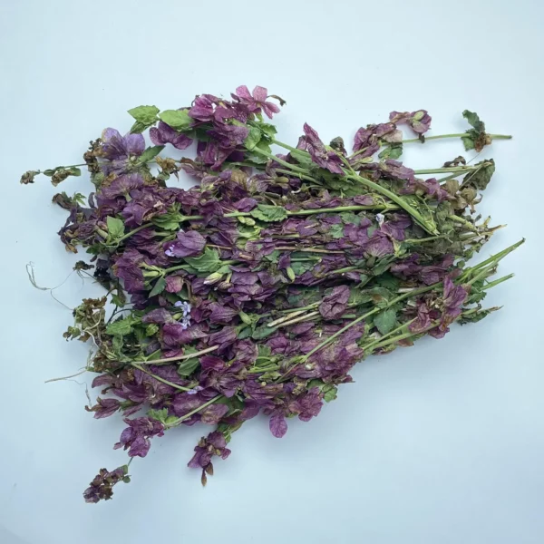 Lemon Balm - Image 4