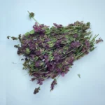 Lemon Balm - Image 3