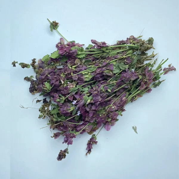 Lemon Balm - Image 3